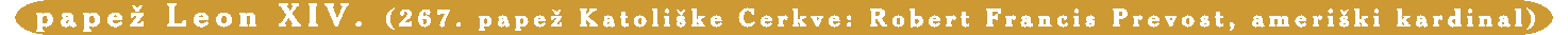 Pape LEON XIV.